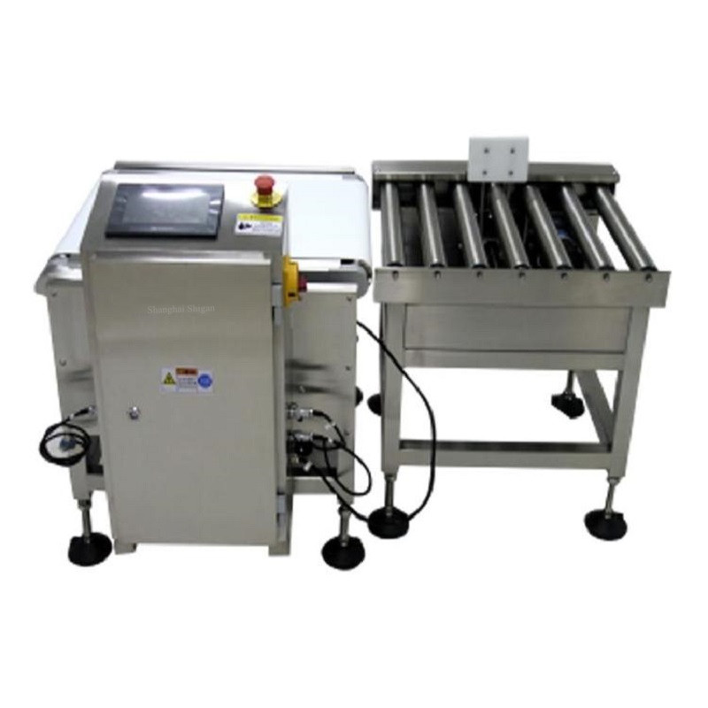 Automatic Checkweigher For Bagged Cement, Wide Range Weight Recheck Checkweigher Machine Bengal