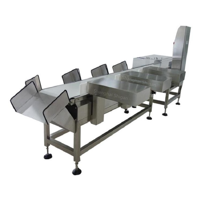 Real-time Sorting Check Weigher Manufacturer