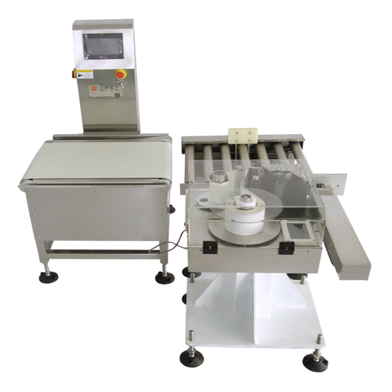 Food and Pharma Industry Labeling Machines With Weighing, Printers Checkweigher Labeling Machine