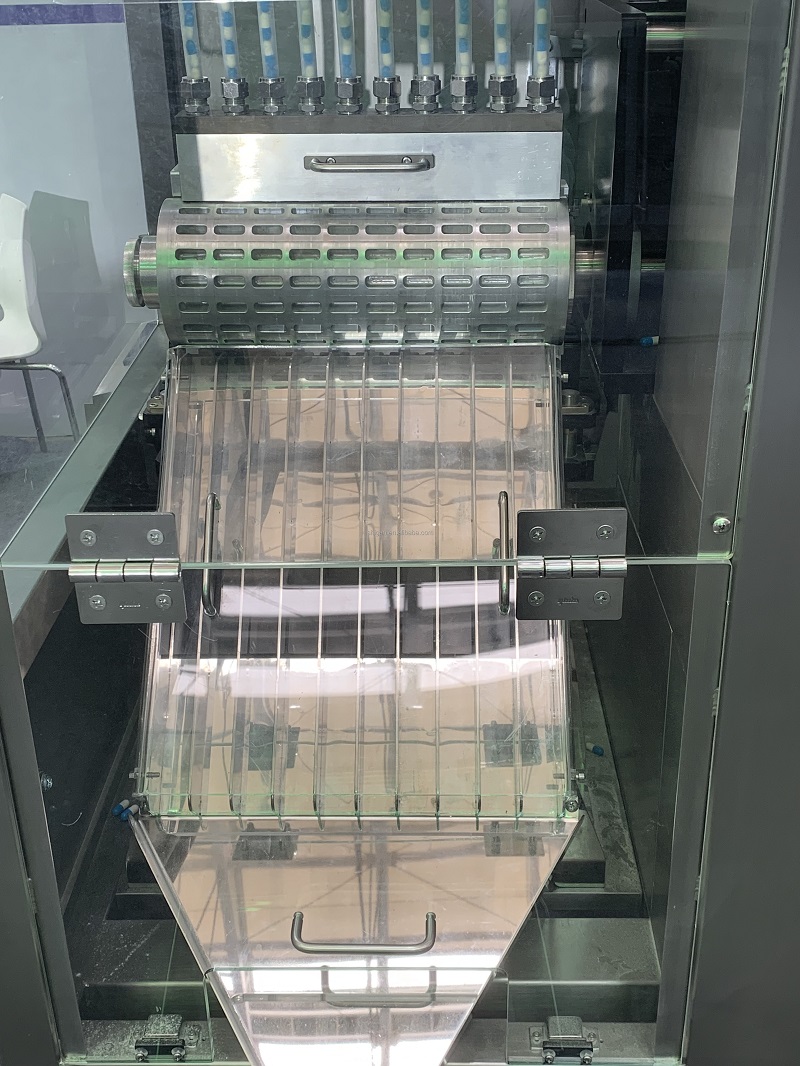 Intelligent Super Precision Capsule Tablet Checkweigher SHIGAN